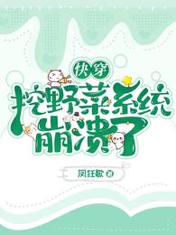 �촩����Ұ��ϵͳ������