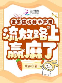 ȫ��͵��������������·��Ӯ����