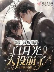 �����Ұ��ݵİ��¹��������