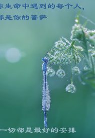 ����ֻΪ������